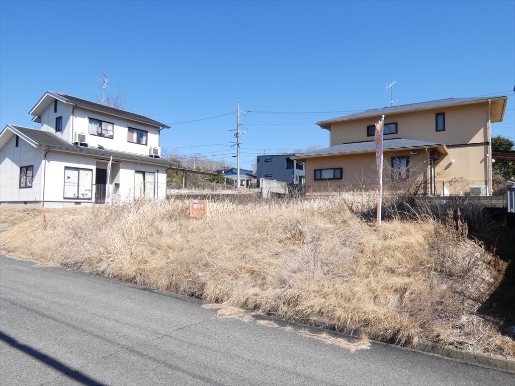土地情報