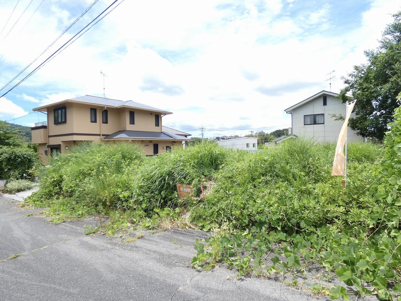 土地情報