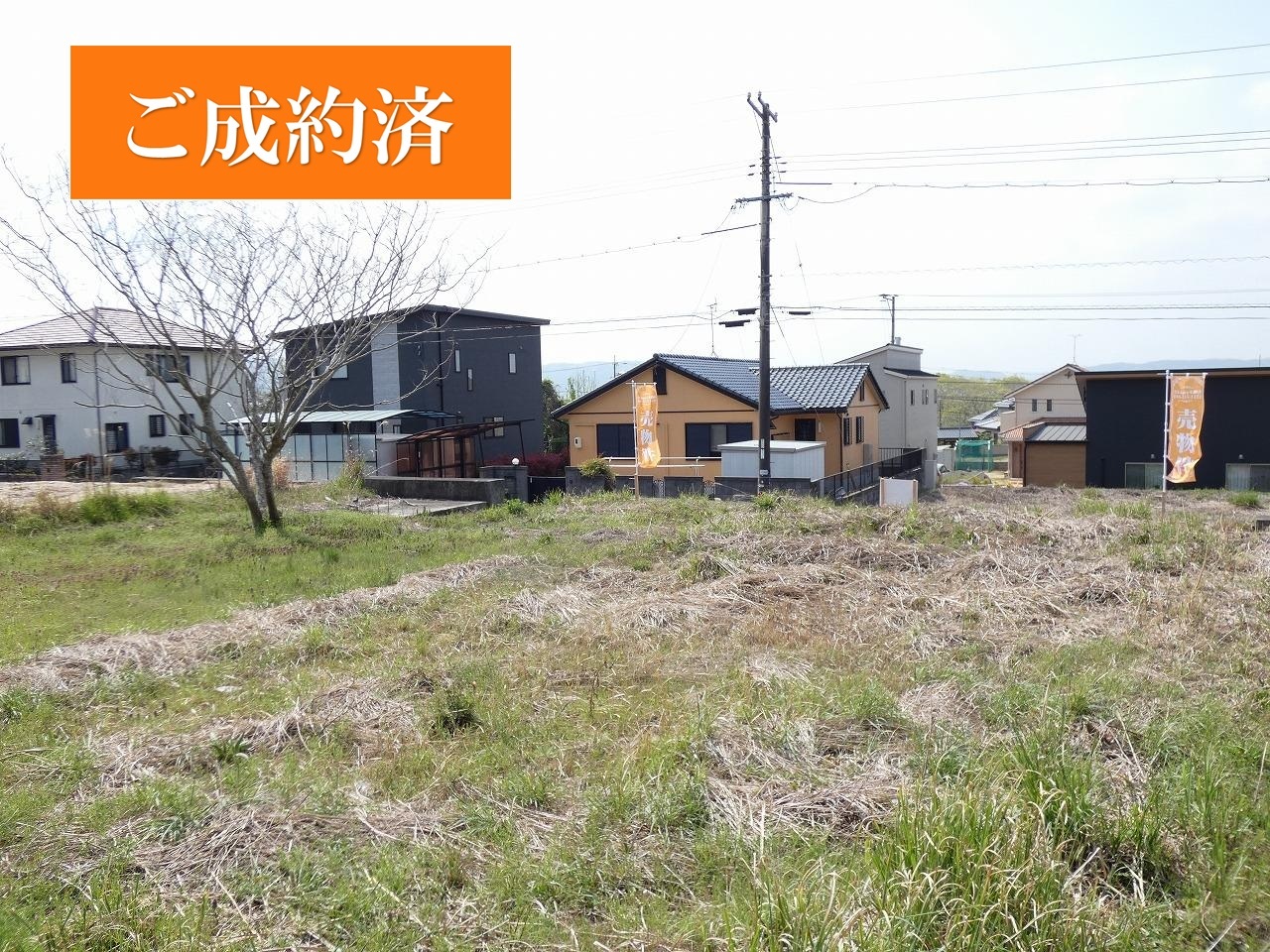 土地