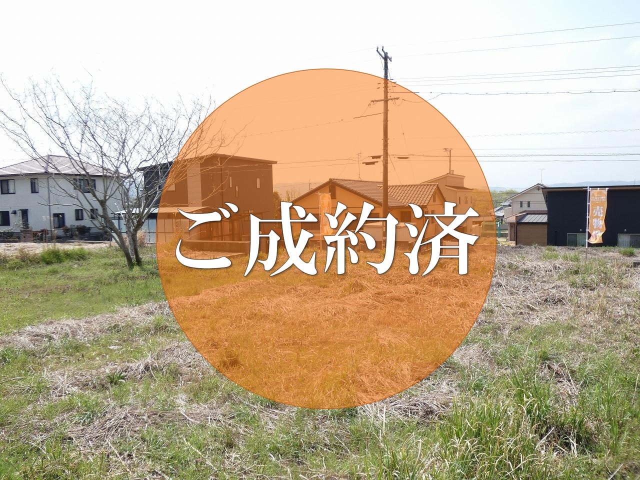 土地