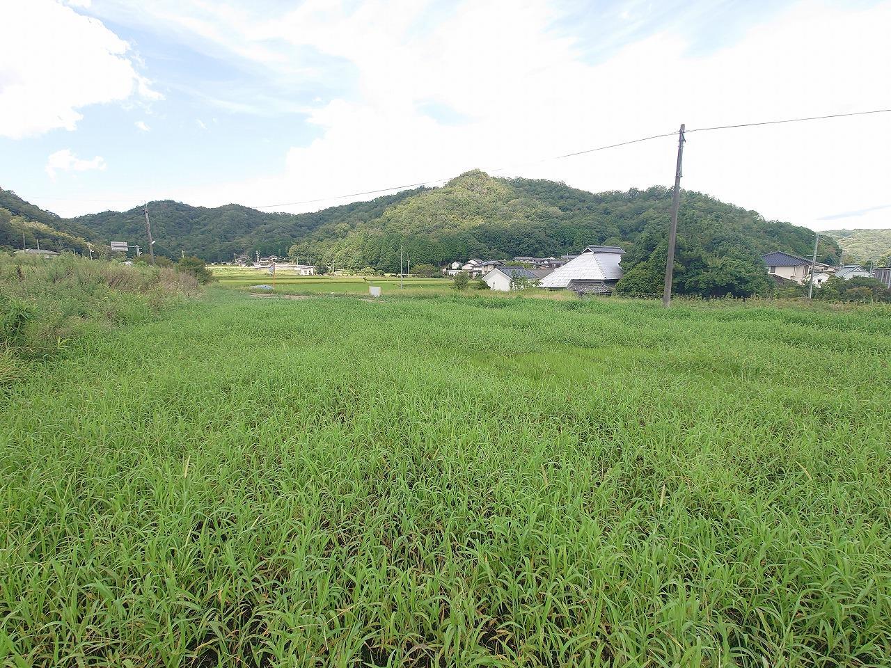 土地