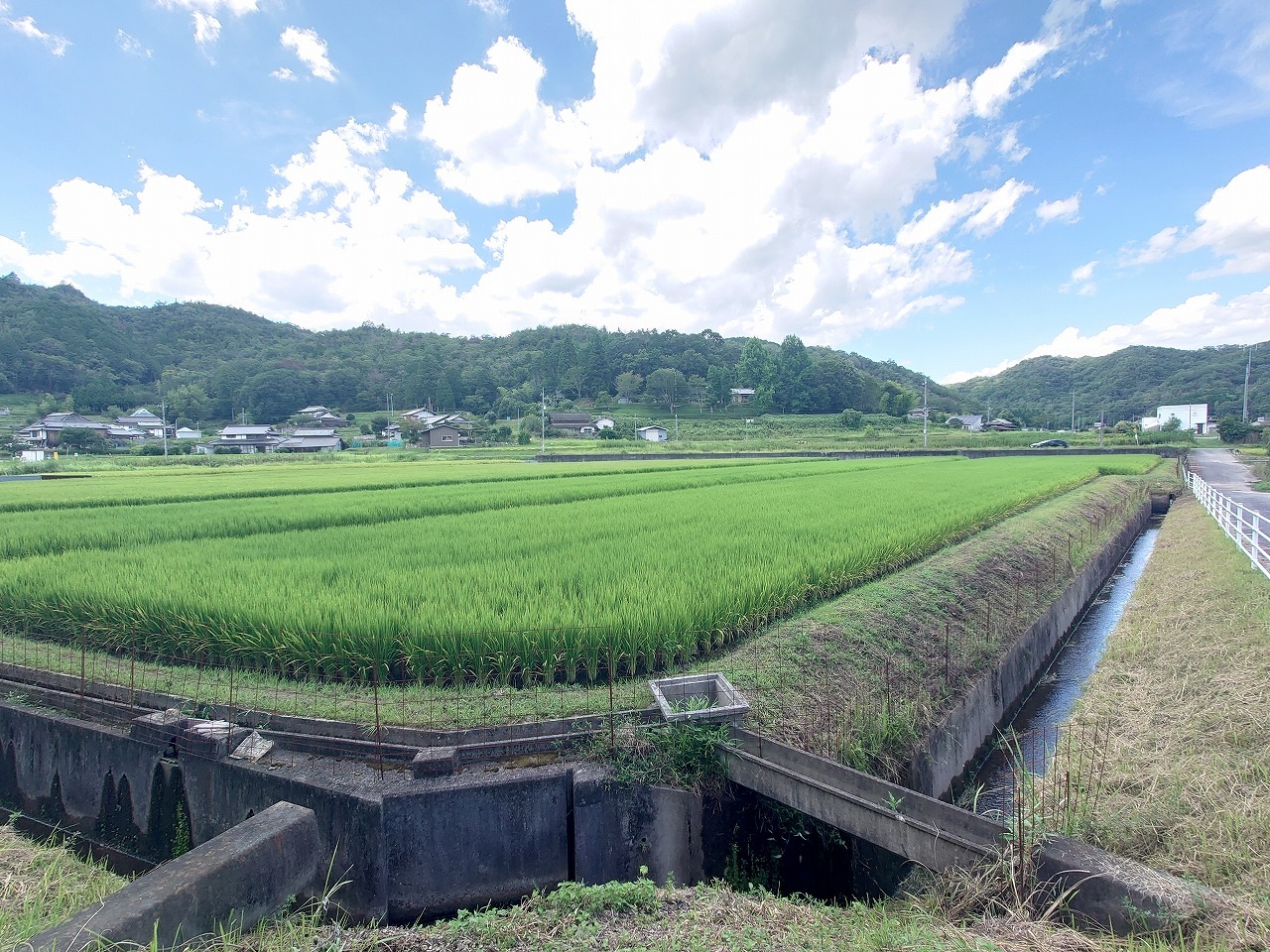土地